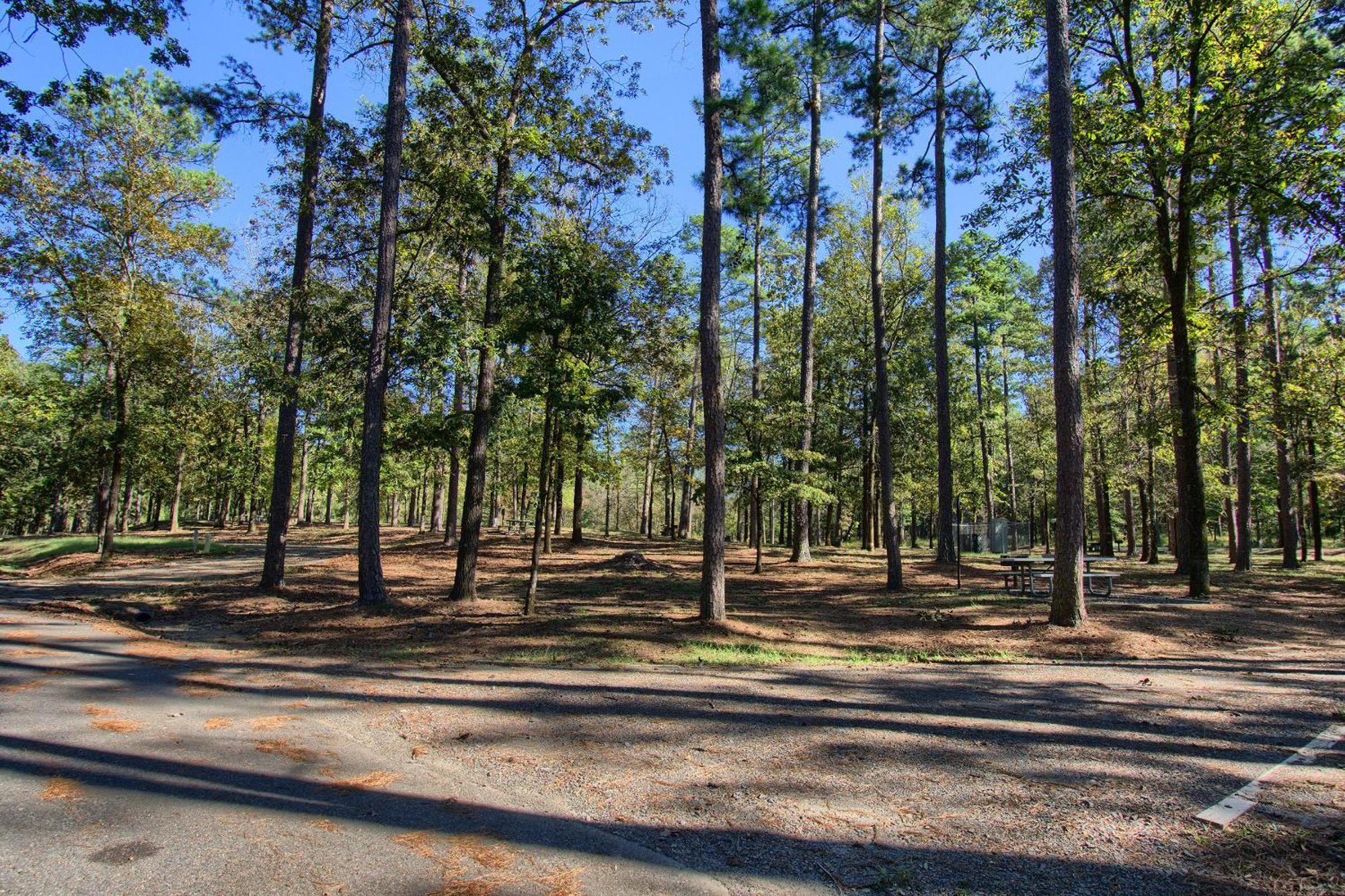 The Americana - Parker Creek Bend Cabins Murfreesboro Exteriör bild