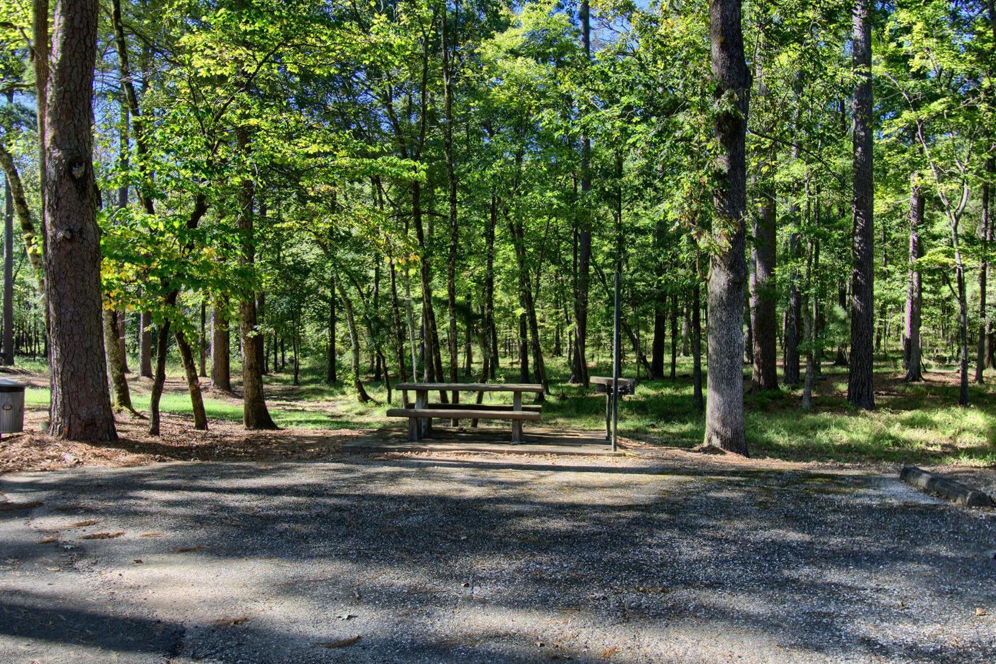 The Americana - Parker Creek Bend Cabins Murfreesboro Exteriör bild